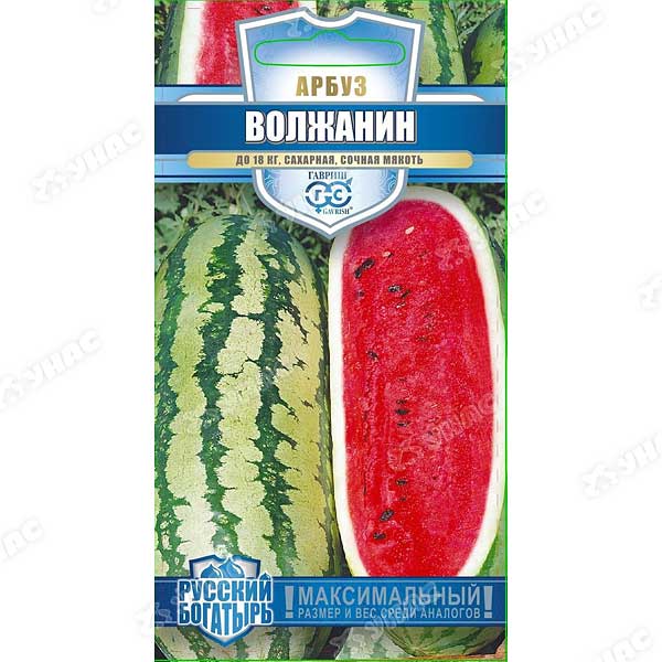 Арбуз Волжанин Гавриш Ц