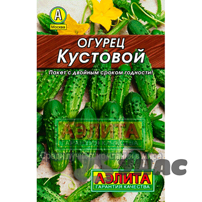 Огурец Кустовой  Аэлита Ц Лидер