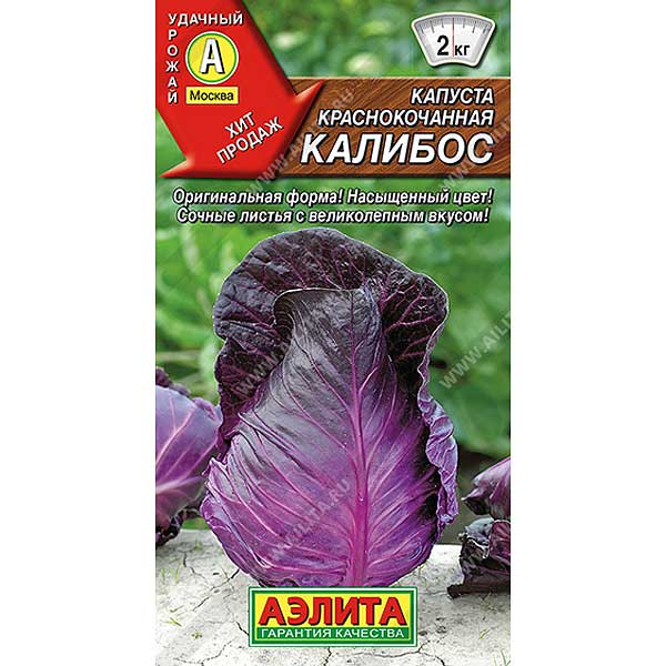 Капуста к/к Калибос Аэлита Ц