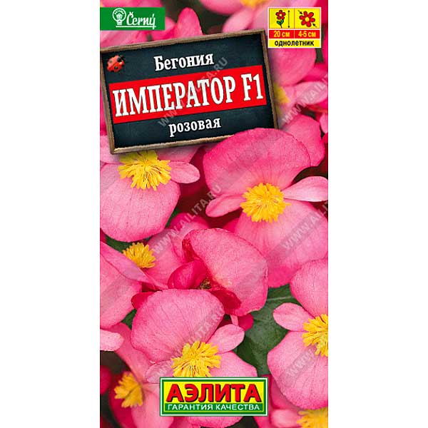 КОМ Бегония Император розовая Аэлита Ц 