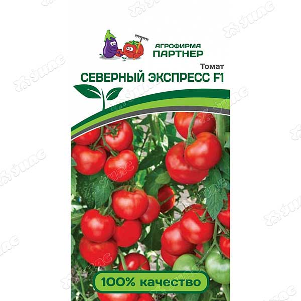 Семена Томат Северный экспресс Партнер