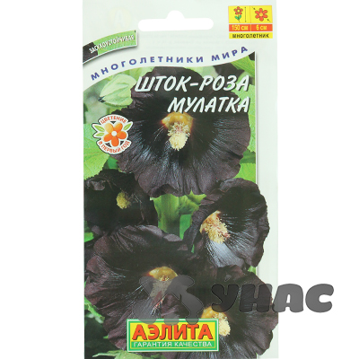 Шток-роза Мулатка Аэлита Ц 