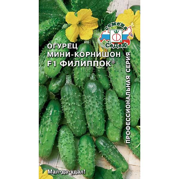 Огурец Филиппок Седек Ц