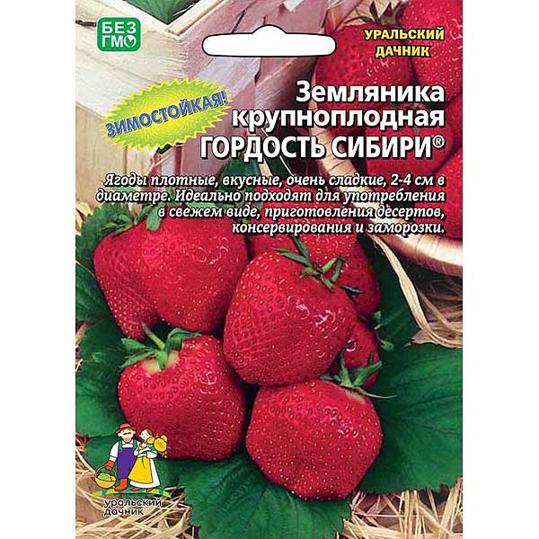 Земляника Гордость сибири Марс Ц Земляника Гордость сибири Марс Ц