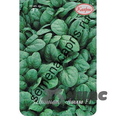 Шпинат Аполло (Нидерланды) Каприс