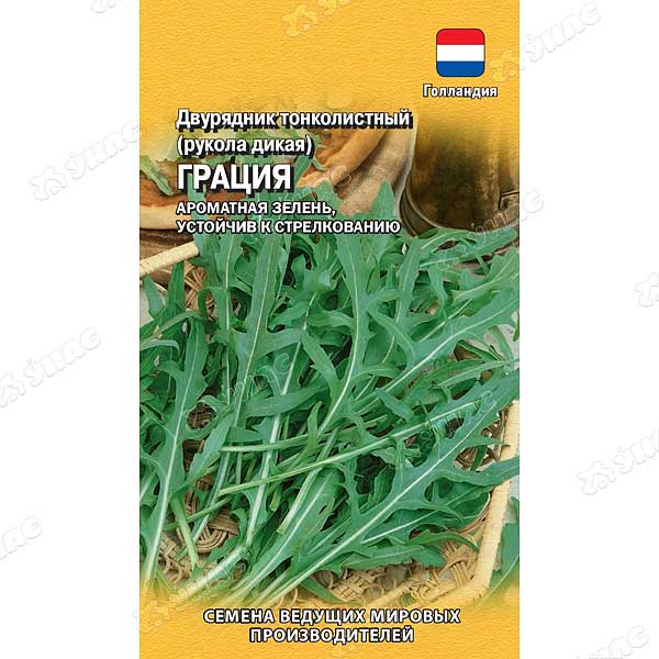 Рукола (двурядник) Грация Гавриш Ц