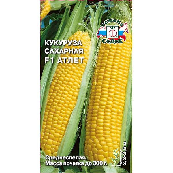 Кукуруза Атлет (сахарн) Седек Ц