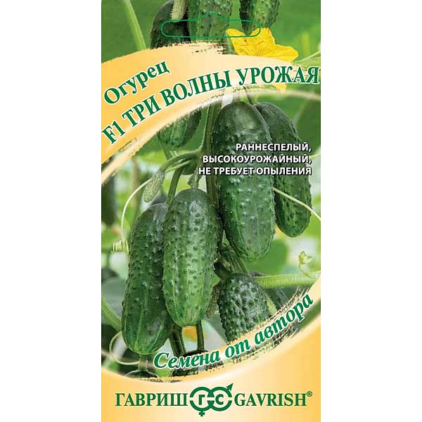 Семена Огурец Три волны урожая Гавриш Ц x10