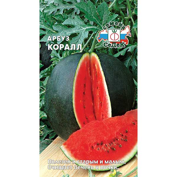 Арбуз Коралл  Седек Ц