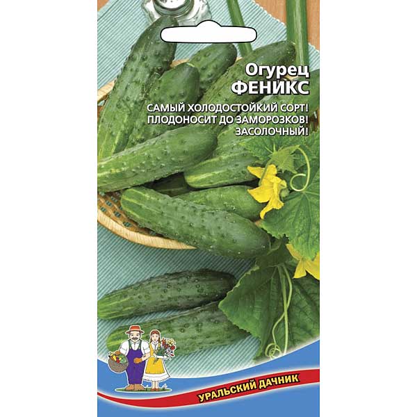 Огурец Феникс Марс Ц