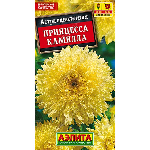 Астра Принцесса Камилла Аэлита Ц 