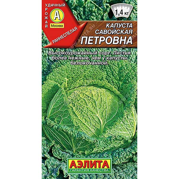 Капуста савойская Петровна Аэлита Ц