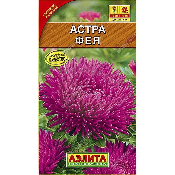 Астра Фея Аэлита Ц 