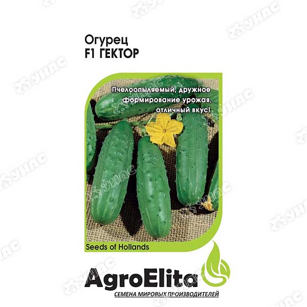 Огурец Гектор Гавриш Ц