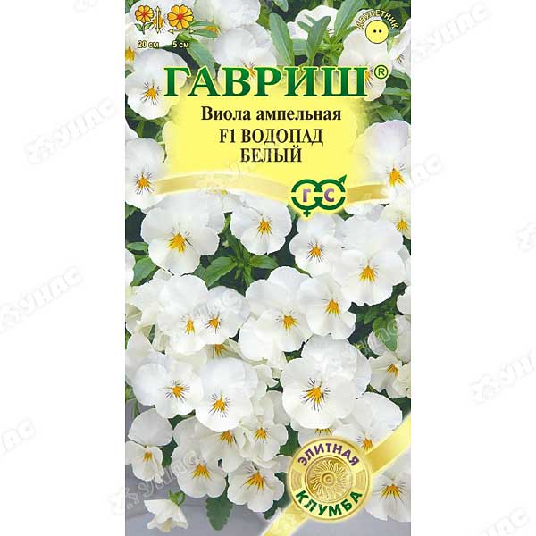 Виола Виттрока Водопад белый Гавриш Ц 