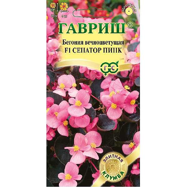 КОМ Бегония Сенатор Пинк Гавриш Ц 