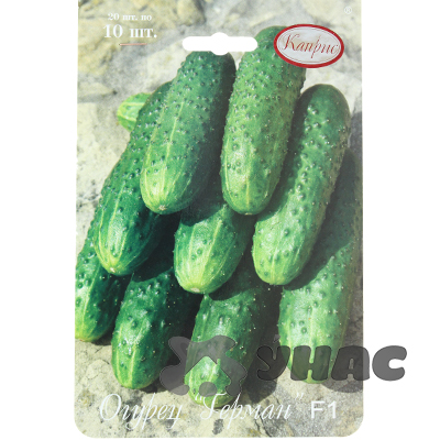 Огурец Герман 10шт (Нидерланды) Каприс