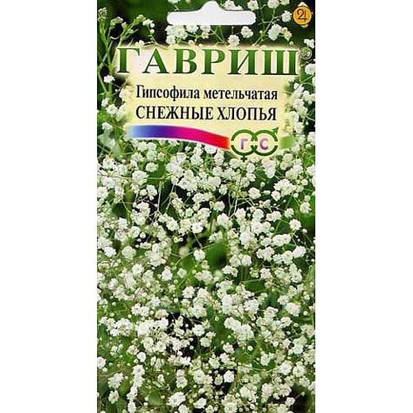 Гипсофила Снежные хлопья метельч. Гавриш Ц 