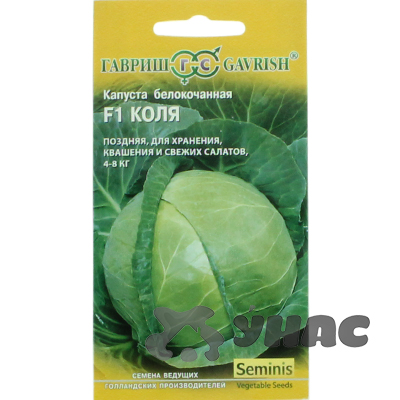 Капуста Коля Гавриш Ц