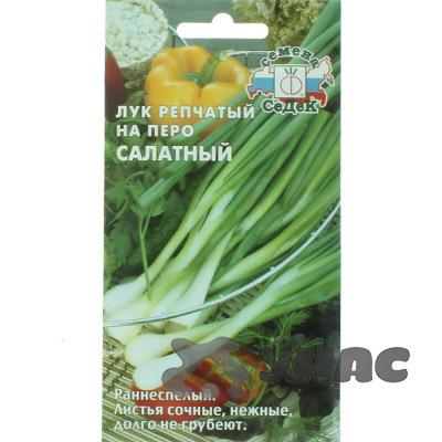 Лук Салатный (на перо) Седек Ц