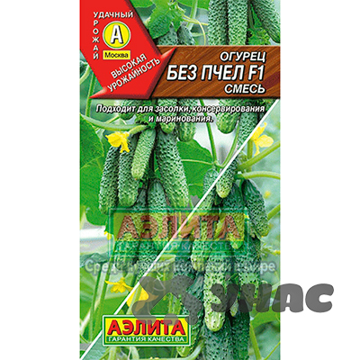 Огурец Без пчел Аэлита Ц