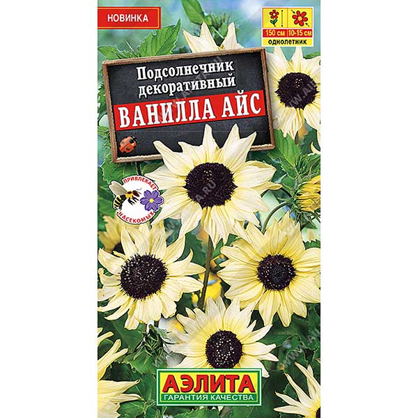 Подсолнечник Ванилла айс декоративный Аэлита Ц 