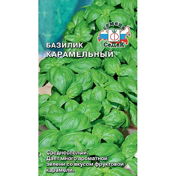 Базилик Карамельный Седек Ц