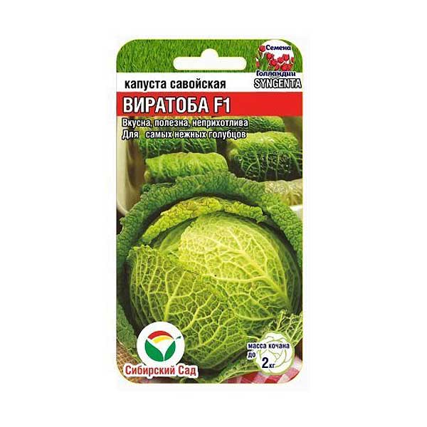 Капуста савойская Виратоба СибСадГибрид  голландской  селекции  идеально подходящий для  выращивания в  умеренном климате. Устойчив к первым осенним заморозкам, подходит для поздней уборки. Готовая продукция долго стоит в поле без потери товарных и вкусов