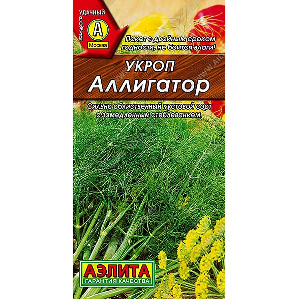 Укроп Аллигатор Аэлита Ц