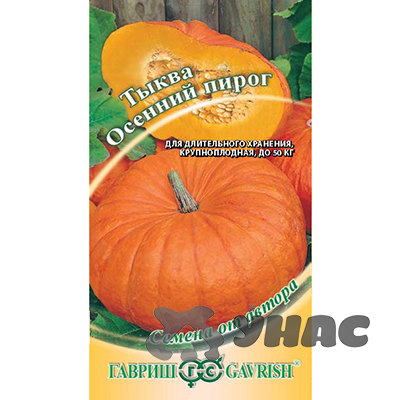 Тыква Осенний Пирог Гавриш Ц
