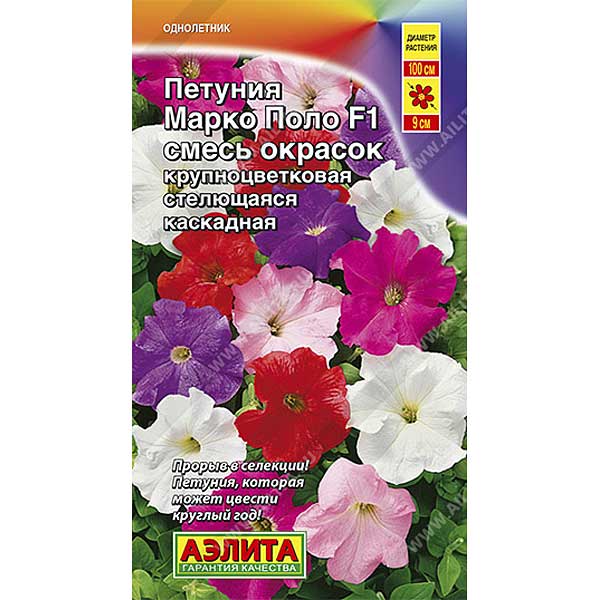 Петуния Марко Поло смесь  Аэлита Ц 
