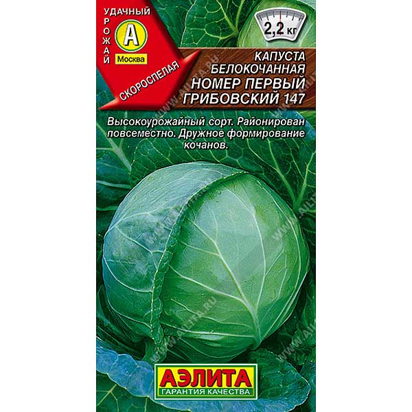 Капуста Грибовская Аэлита Ц