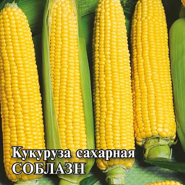 Кукуруза Соблазн Сахарная 50 Гавриш Ц