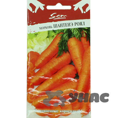 Морковь Шантенэ Роял НК Ц