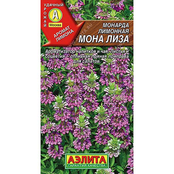 Монарда лимонная Мона Лиза  Аэлита Ц x10