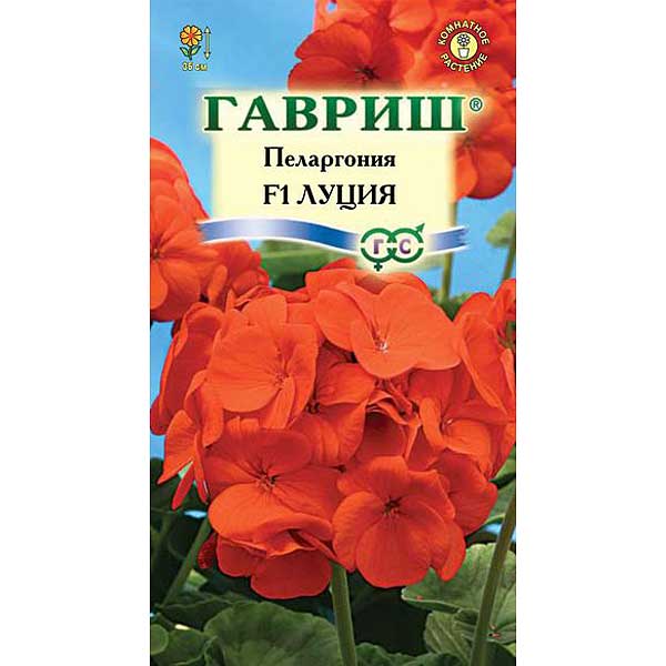 КОМ Пеларгония Луция Гавриш Ц 