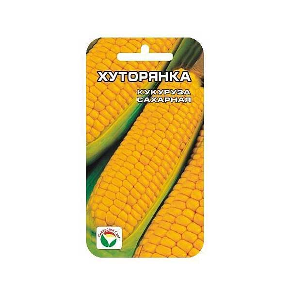 Кукуруза Хуторянка СибСад Ц