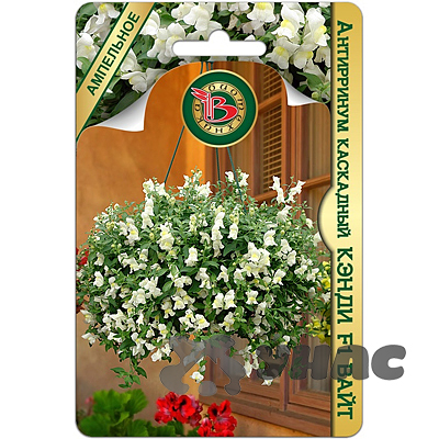 Антирринум Кэнди Вайт Биотехника Ц 