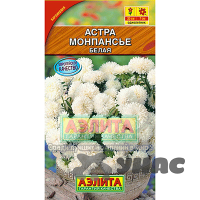 Астра Монпансье белая Аэлита Ц 