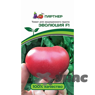 Семена Томат Эволюция 10 шт Партнер