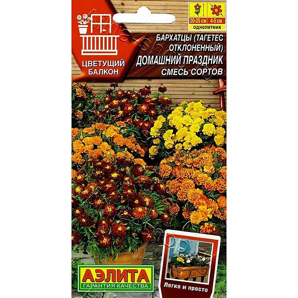 Бархатцы Домашний праздник Аэлита Ц 