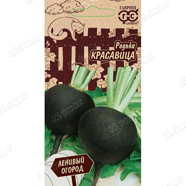 Редька Красавица Гавриш Ц