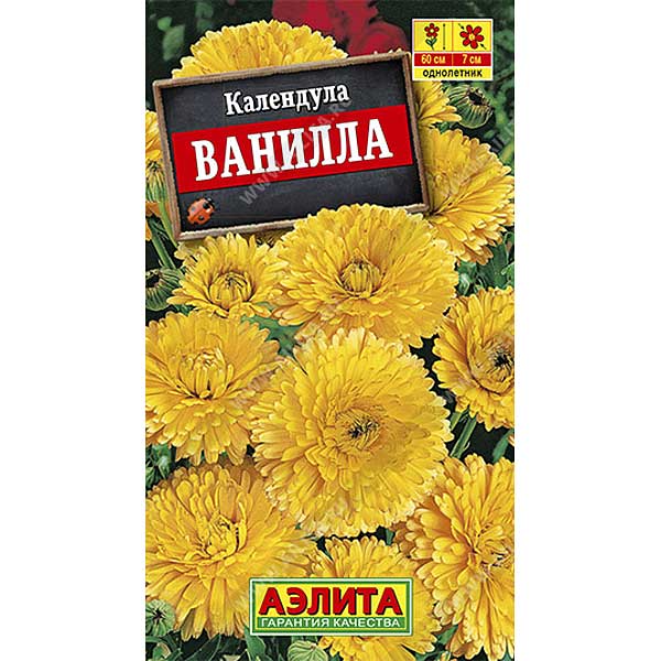 Календула Ванилла Аэлита Ц 