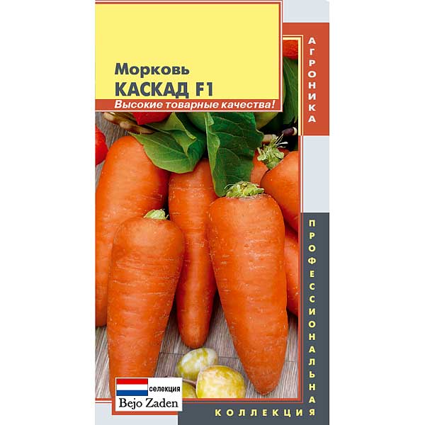 Морковь Каскад Плазма Ц