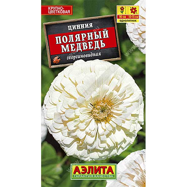 Циния Полярный медведь Аэлита Ц х10 