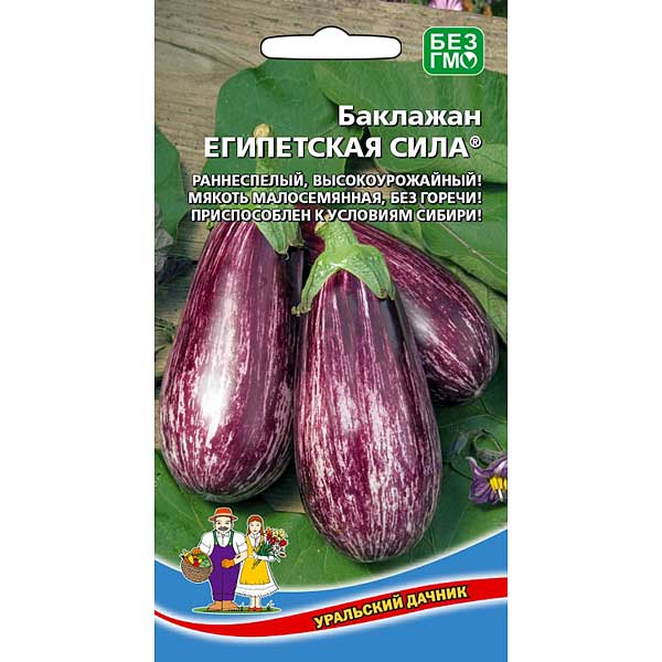 Баклажан Египетская сила Марс Ц