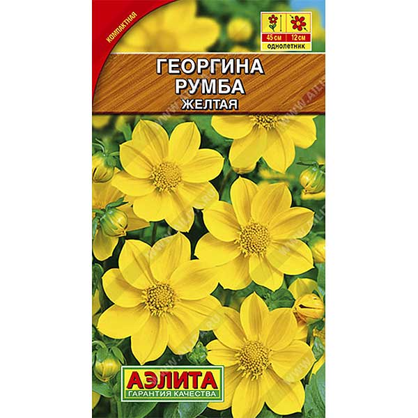 Георгин Румба желтая Аэлита Ц 