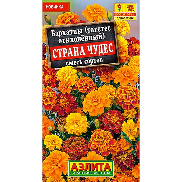 Бархатцы Страна чудес Аэлита Ц 