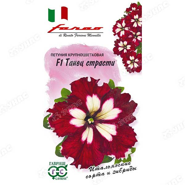 Петуния Танец Страсти Гавриш Ц 