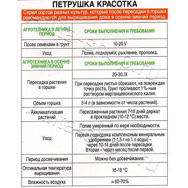 Петрушка кудрявая Красотка Аэлита Ц х10